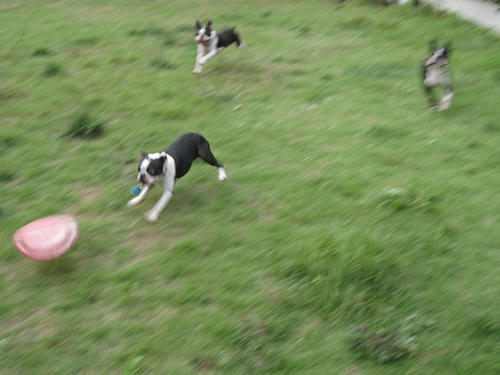 20090712_tc09.jpg