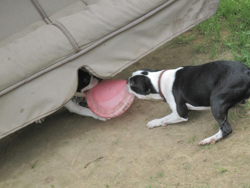20090712_tc10.jpg