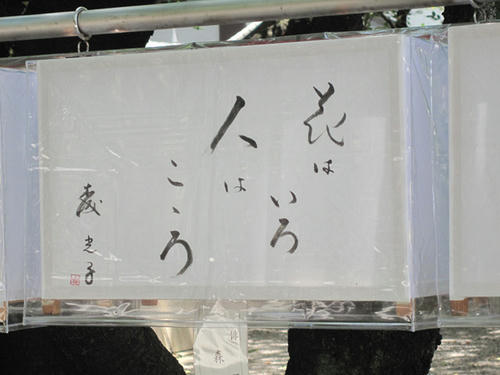 20090714_yasukuni05.jpg