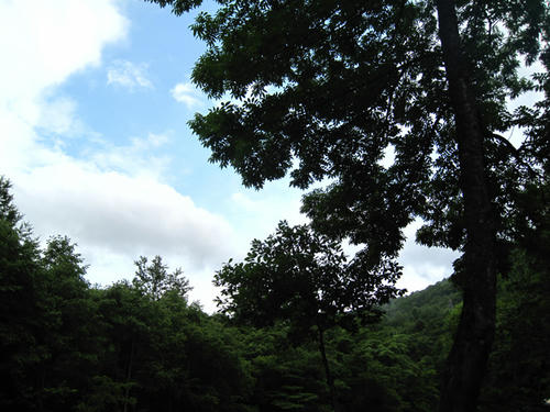 20090718_ozeCamp01.jpg