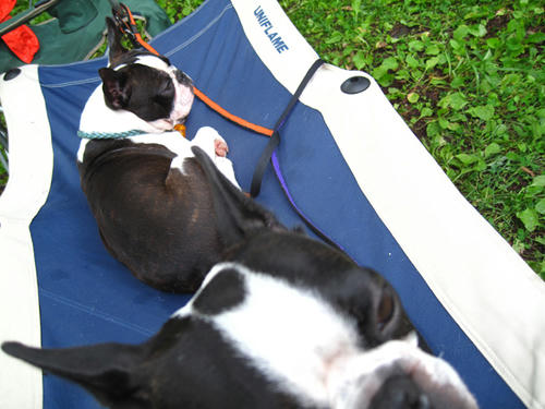 20090718_ozeCamp03.jpg
