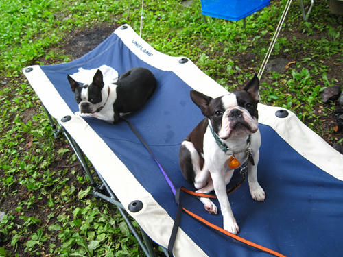 20090718_ozeCamp04.jpg