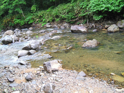 20090718_ozeCamp10.jpg