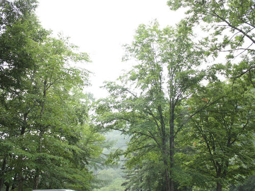 20090718_ozeCamp16.jpg