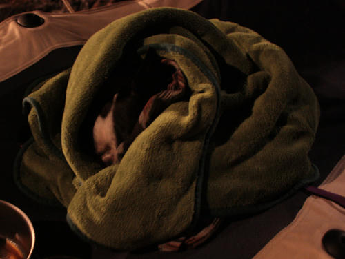 20090718_ozeCamp20.jpg
