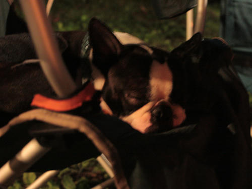 20090718_ozeCamp23.jpg