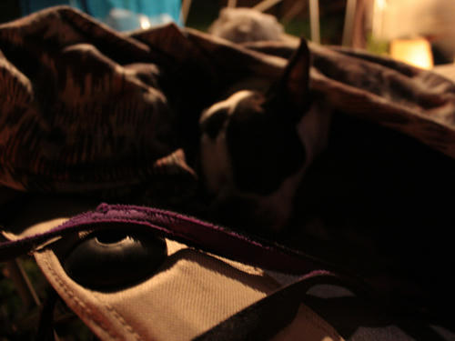 20090718_ozeCamp24.jpg