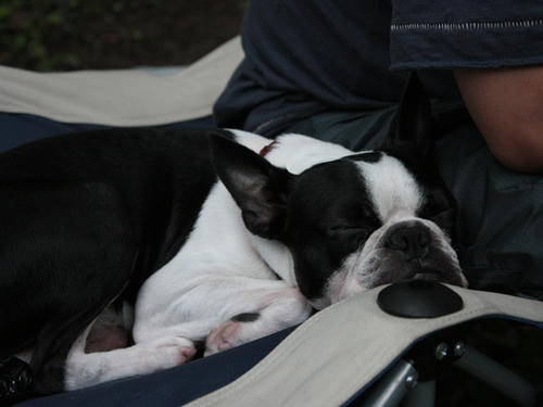 20090718_ozeCamp39.jpg