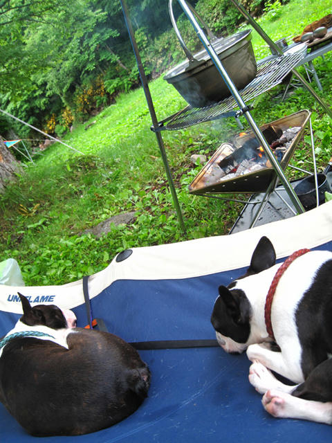 20090718_ozeCamp48.jpg
