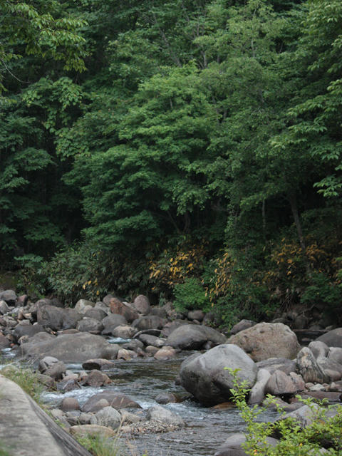 20090719_ozeCamp06.jpg
