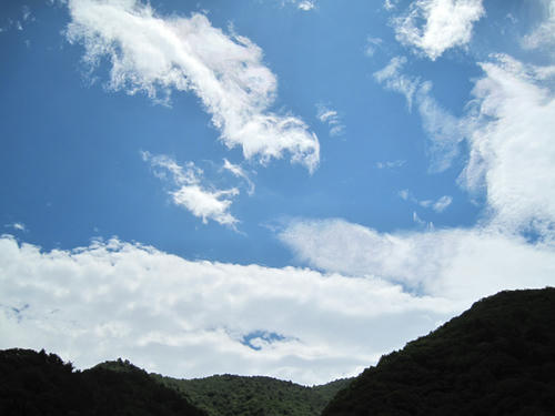 20090719_ozeCamp12.jpg