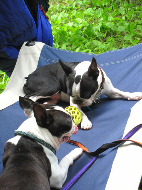 20090719_ozeCamp16.jpg