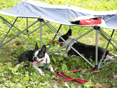 20090719_ozeCamp20.jpg