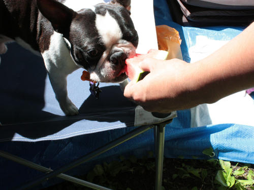 20090720_ozeCamp01.jpg