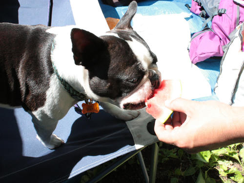 20090720_ozeCamp02.jpg