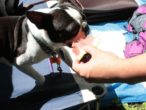 20090720_ozeCamp03.jpg