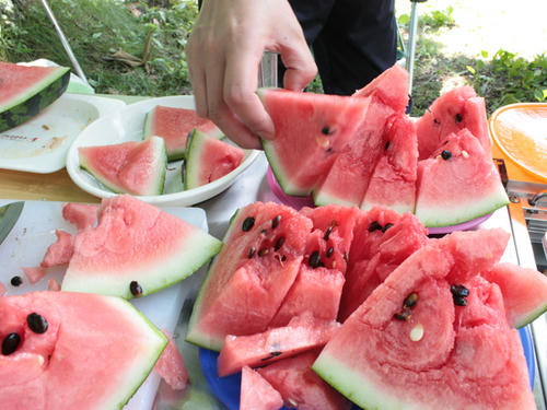 20090720_ozeCamp05.jpg