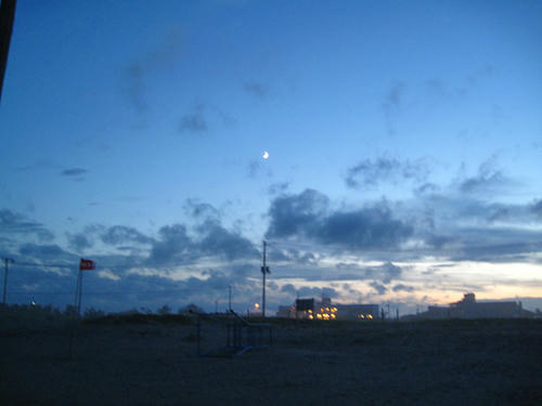 20090725_shirako01.jpg