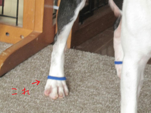 20090729_balance01.jpg