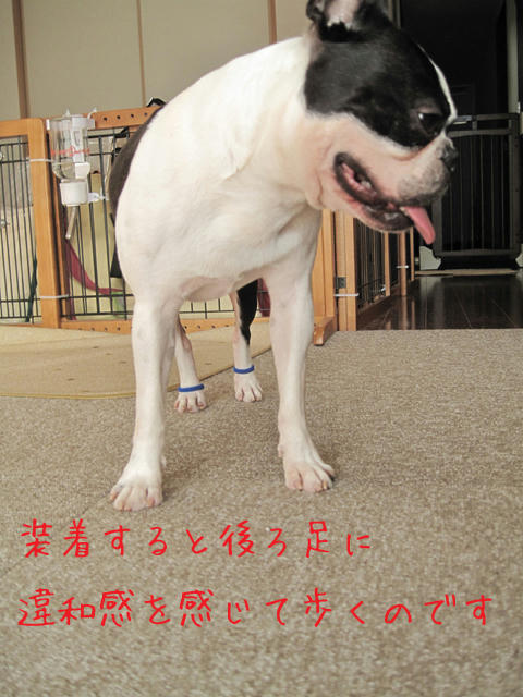 20090729_balance08.jpg