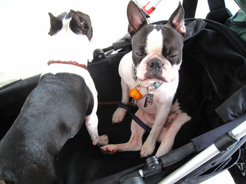 20090802_parking02.jpg