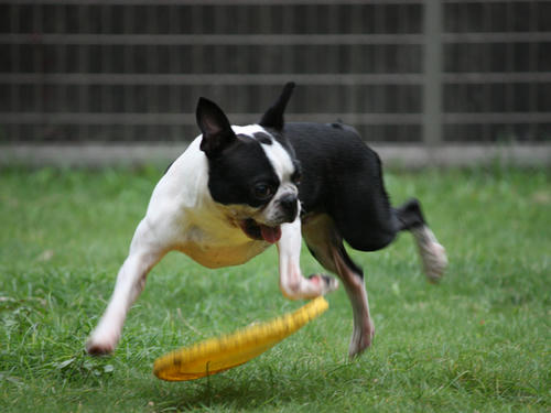 20090802_tc10.jpg