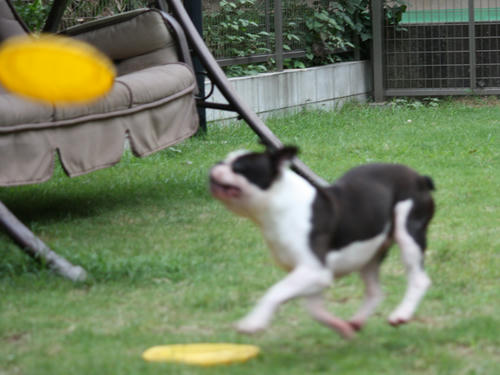 20090802_tc14.jpg