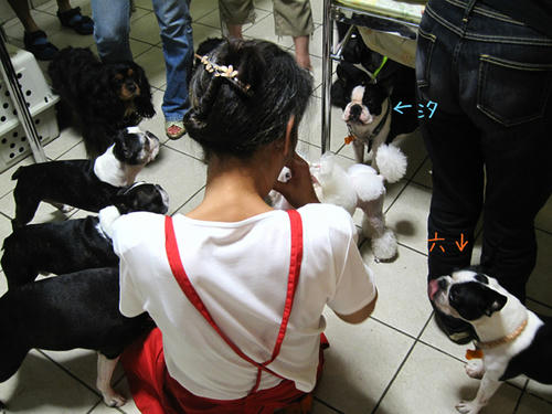 20090809_party01.jpg
