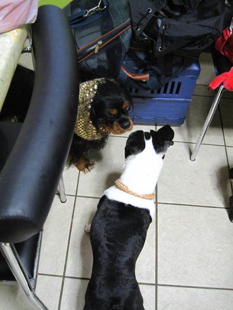 20090809_party02.jpg