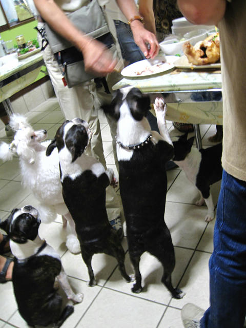 20090809_party03.jpg