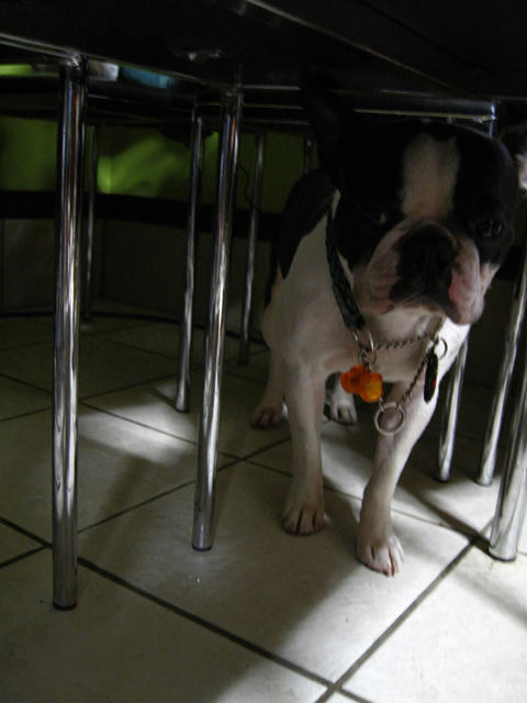 20090809_party04.jpg