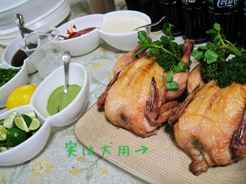 20090809_party07.jpg