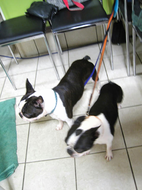 20090809_party10.jpg