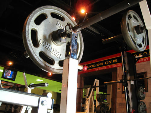 20090812_GoldsGym01.jpg