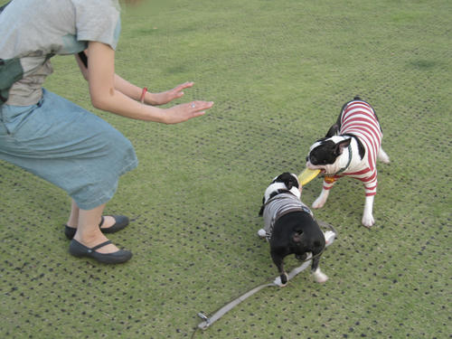 20090906_sanpo08.jpg