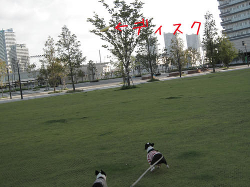 20090906_sanpo09.jpg
