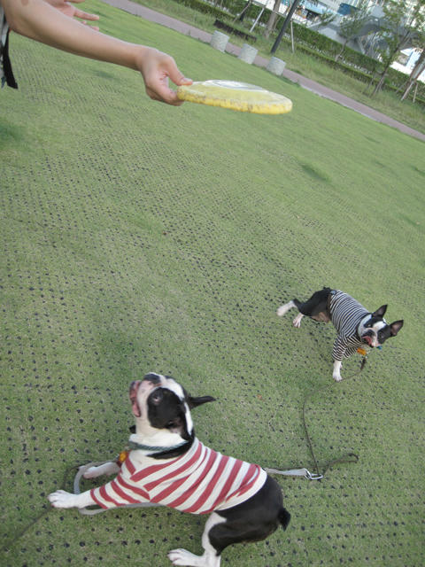 20090906_sanpo10.jpg
