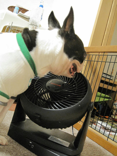 20090909_cooldown01.jpg