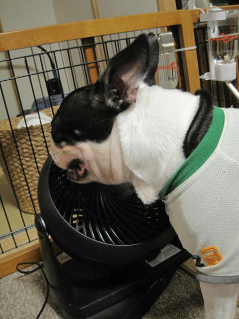 20090909_cooldown03.jpg