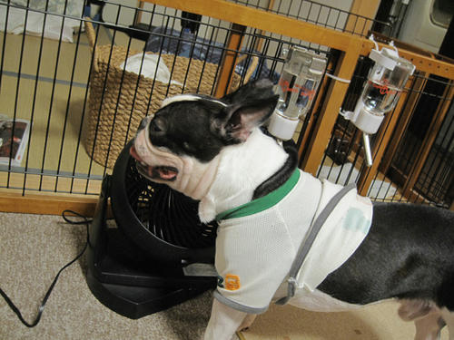 20090909_cooldown04.jpg