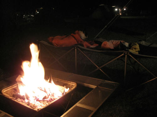 20090920_sp5dw01.jpg