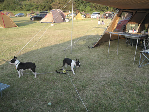 20090920_sp5dw10.jpg