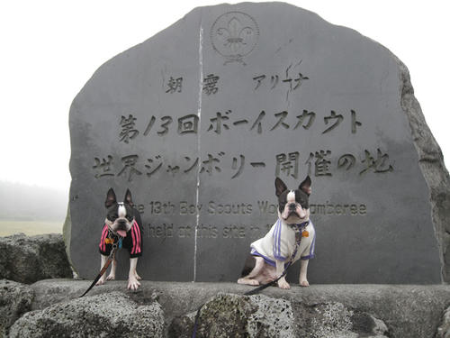 20090921_sp5dw02.jpg