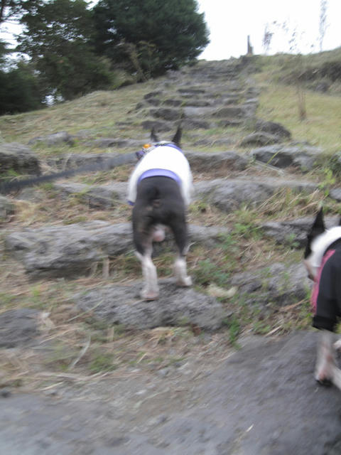20090921_sp5dw03.jpg
