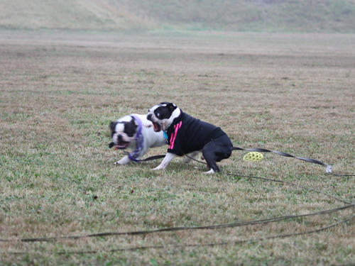 20090921_sp5dw05.jpg