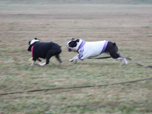 20090921_sp5dw06.jpg