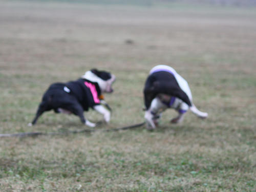20090921_sp5dw07.jpg