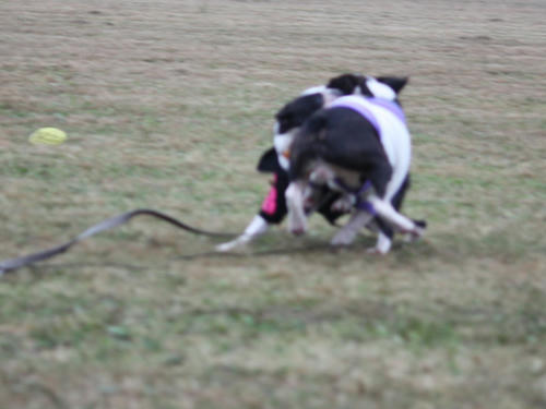 20090921_sp5dw08.jpg