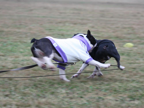 20090921_sp5dw09.jpg