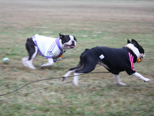 20090921_sp5dw11.jpg